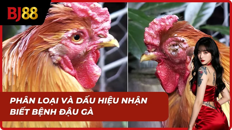 Triệu chứng rõ nét của Bệnh đậu gà thường gặp