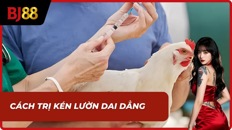 Thuốc tiêu kén phổ biến trong cách trị gà bị kén mép