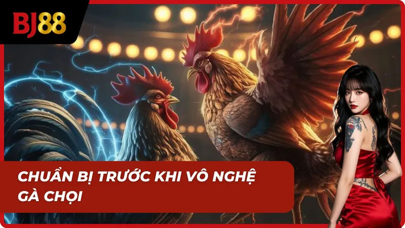 Cách vô nghệ gà đá bắt đầu từ khâu chuẩn bị chuẩn