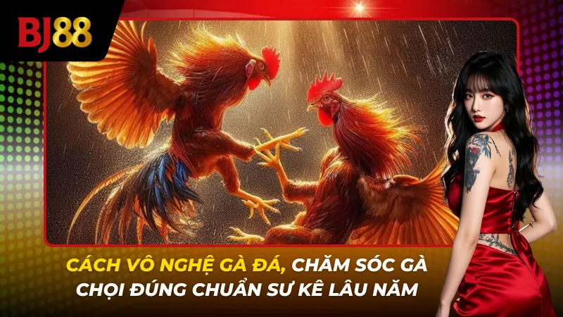 đúng kỹ thuật giúp chiến kê dẻo dai, bền sức và hạn chế chấn thương khi thi đấu. Anh em có thể theo