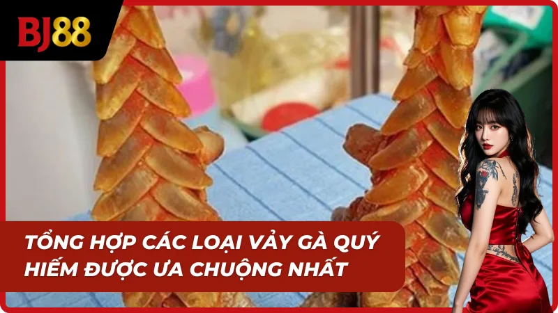 Cách xem vảy gà quý được sư kê săn tìm nhiều nhất