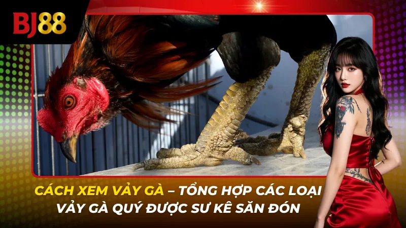 cách xem vảy gà