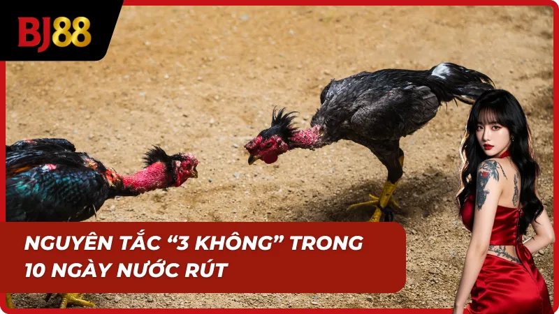 Nguyên tắc 3 không trong chế độ biệt dưỡng 10 ngày trước khi đá