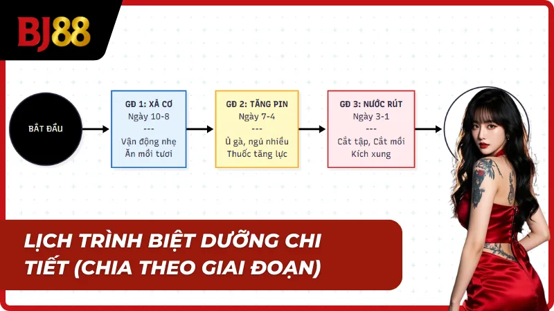 Giai đoạn 2 của chế độ biệt dưỡng 10 ngày trước khi đá