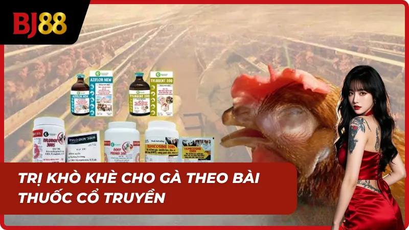 3 Ngày chữa lành tình trạng gà bị khò khè