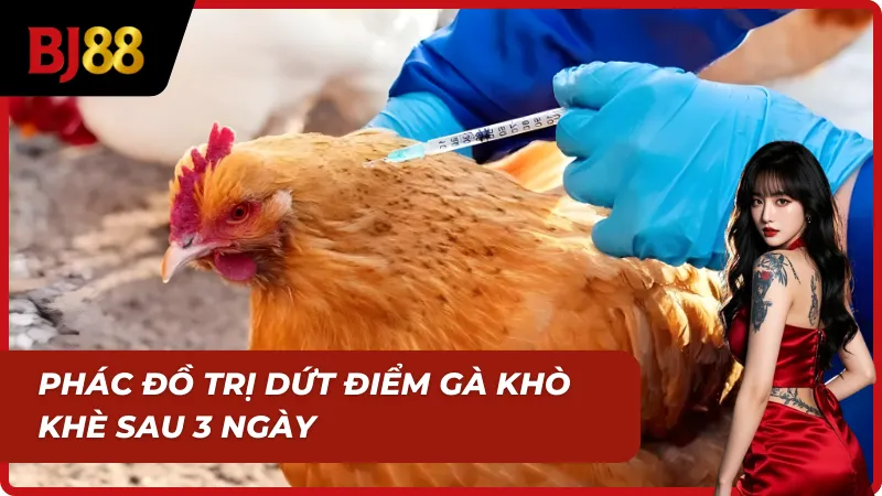 Thuốc phổ biến dùng để điều trị các bệnh hô hấp ở gà