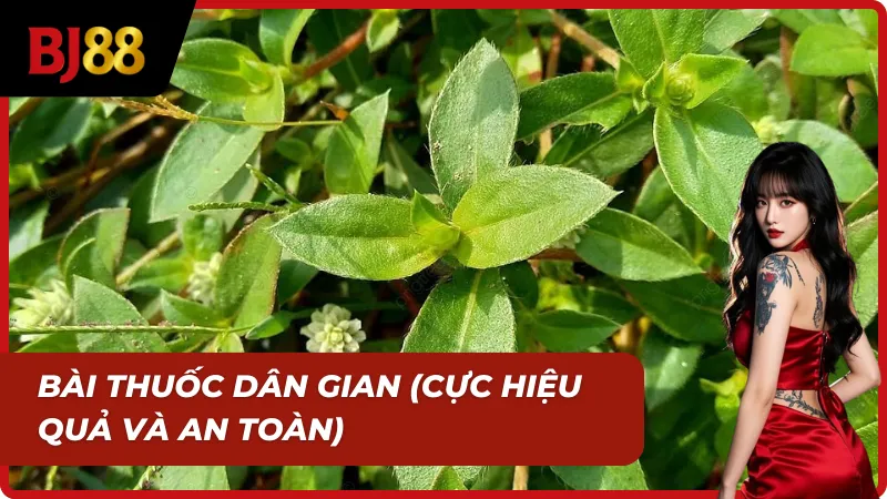 Dược liệu dân gian dùng trong Cách chữa gà bị tang