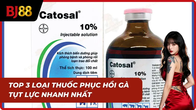 Bao bì thuốc phục hồi thể trạng gà rõ ràng