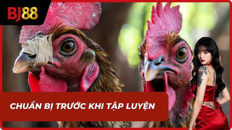 2 chiếc lồng úp vào nhau của kỹ thuật vần hơi