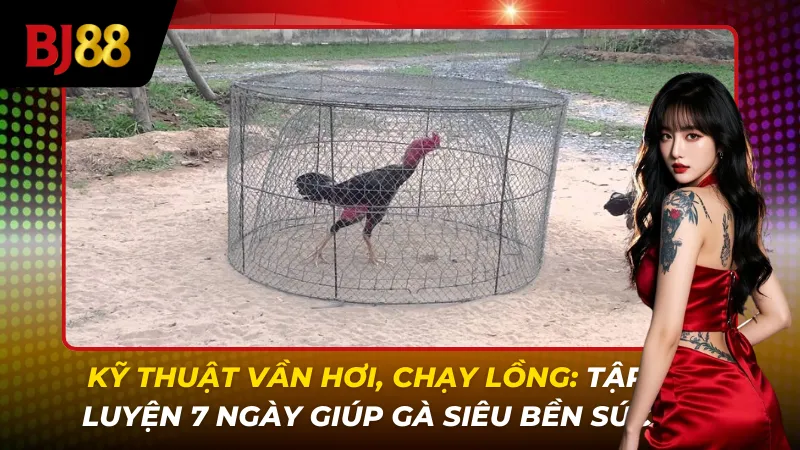 Kỹ Thuật Vần Hơi