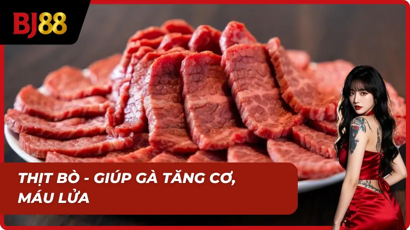 Thịt bò trong mồi tươi cho gà đá