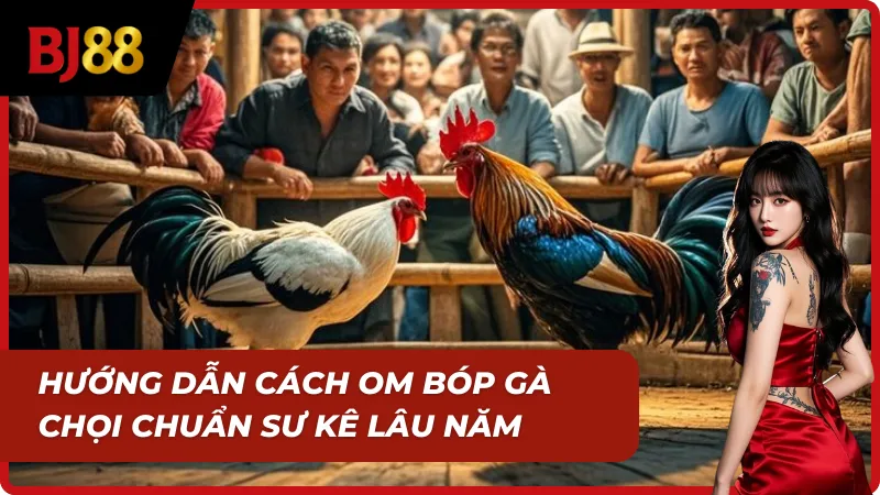 Om bóp gà chọi đúng bài cho chiến kê sung mãn