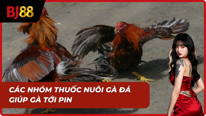 Thuốc nuôi đá gà chia nhóm theo công dụng